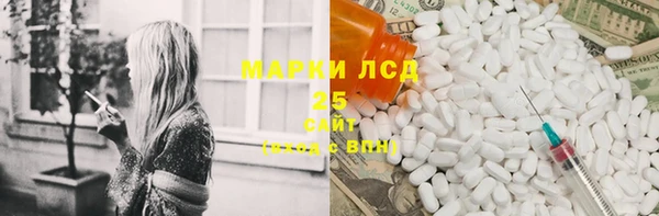 крисы Магас