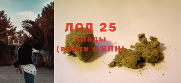 крисы Магас