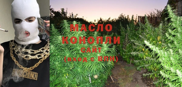 крисы Магас