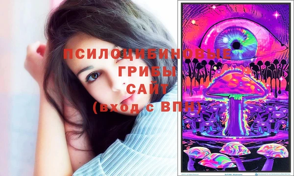 крисы Магас